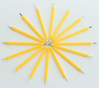 Edison LED – 38mm Filament LED – Warm White